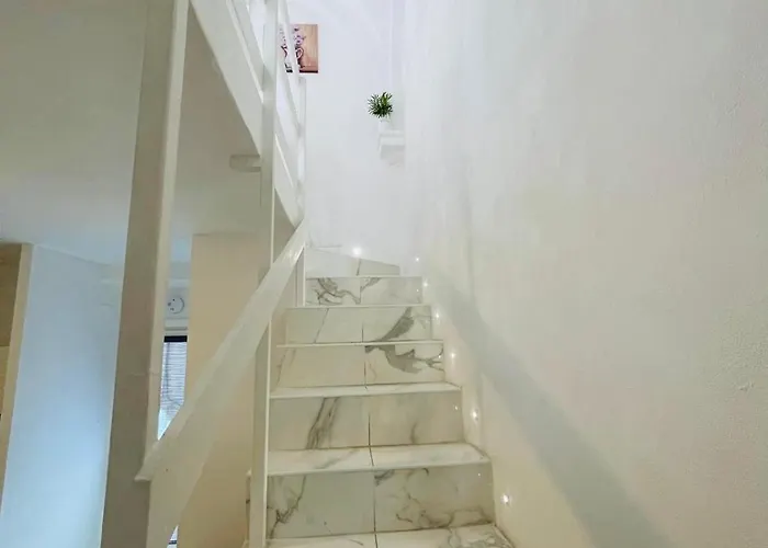 Loft Flower Colosseum Apartment